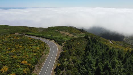 aerial footage of a winding road through lush, green hills with yellow wildflowers in madeira, portugal