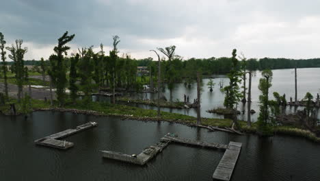 reelfoot lake state park on a cloudy day in tennessee, usa - drone shot