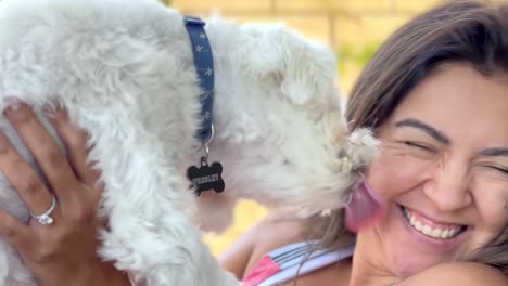 maltese dog loves his hispanic female owner and licks her face - pet dog affection