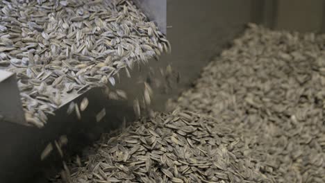 Close-shot-of-a-conveyor-with-sunflower-seeds