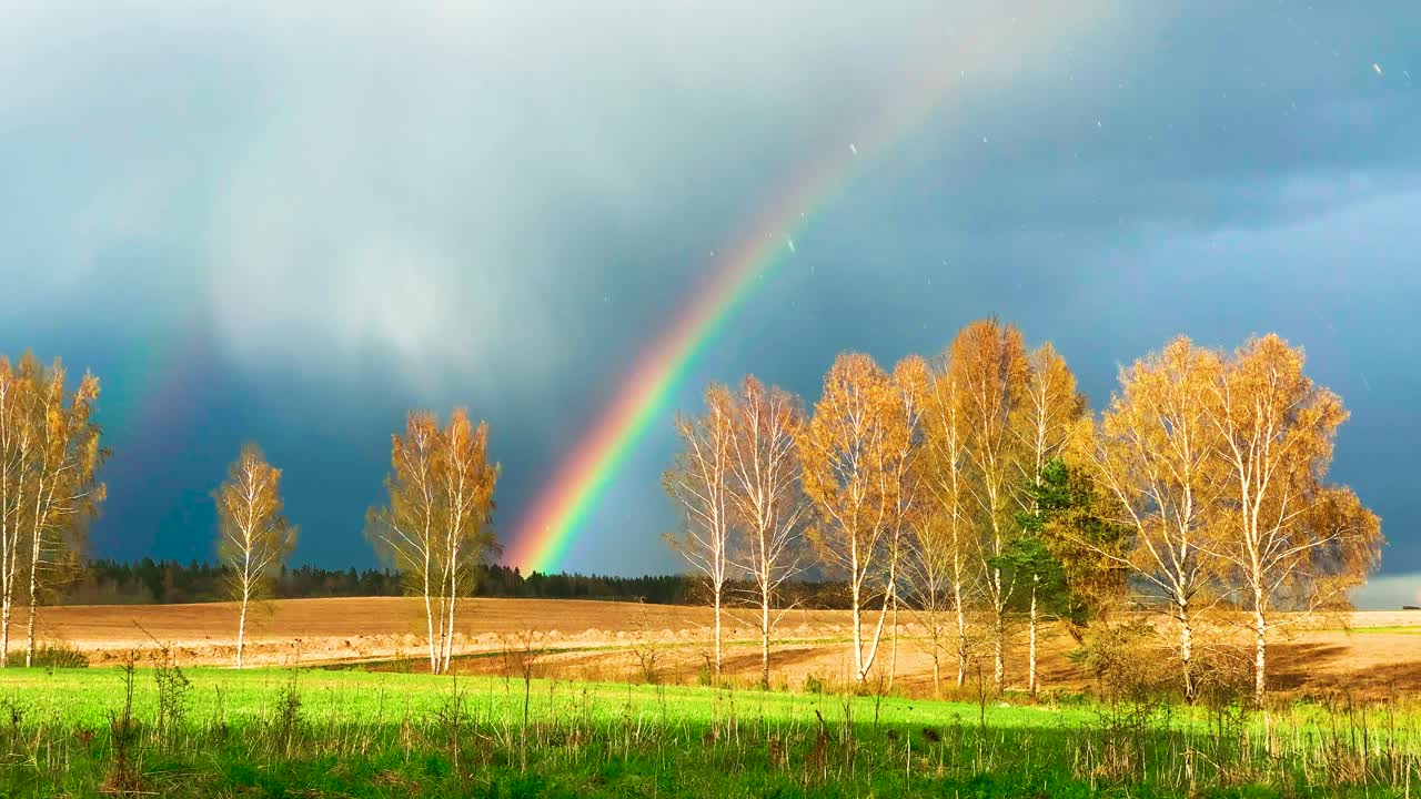 espectacular vista de un arco iris vívido sobre el bosque, sol y lluvia simultáneamente