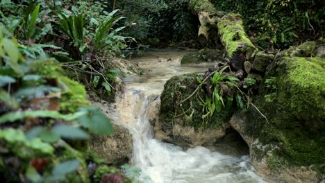 arroyo de montaña pequeña cueva en las rocas y mucho musgo verde