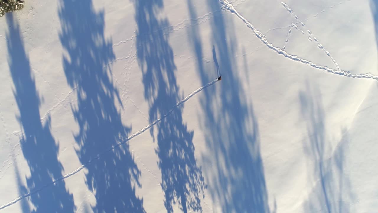 눈  ⁇ 인 풍경 에서  ⁇ 고 있는 하이커 4k