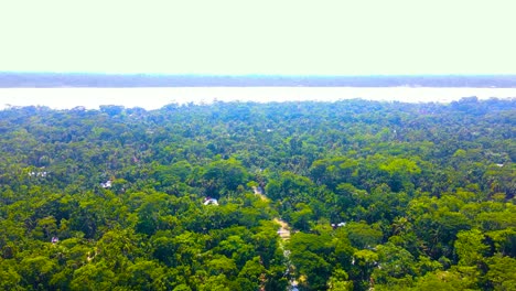 Vista-Aérea-Del-Bosque-Tropical-De-Sundarban-Y-Del-Río-En-Bangladesh---Disparo-De-Drones