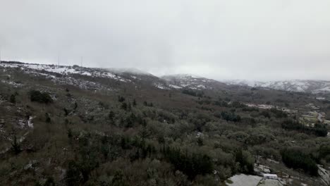 Aerial-shot-over-a-winter-forest-with-snow-under-a-cloudy-sky-with-haze