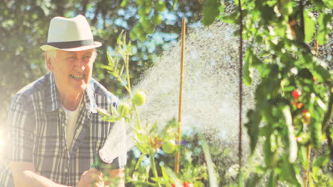 mancha de luz contra las plantas de riego superiores caucásicas en el jardín