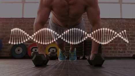 Dna-structure-spinning-against-caucasian-fit-man-performing-performing-push-up-exercise-at-the-gym