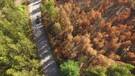 Conducción-De-Automóviles-Descapotables-En-La-Vista-Superior-De-La-Carretera-Rural