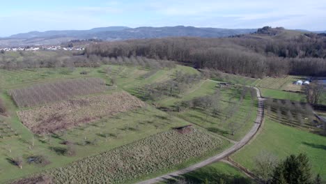 Revealing-scenic-countryside-with-black-forest-and-Hornisgrinde-in-background,-Germany