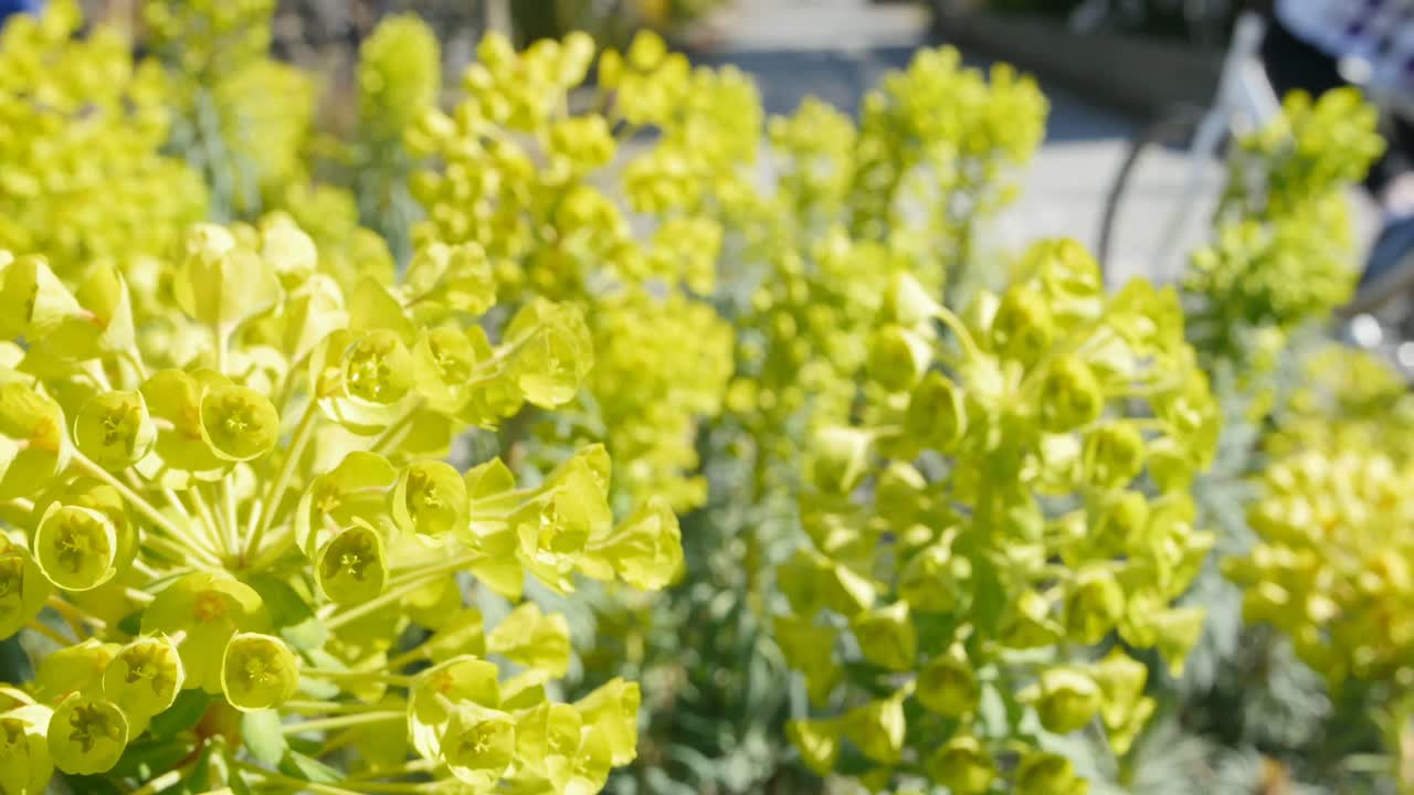 도시에서 자전거를 타는 남자 4k