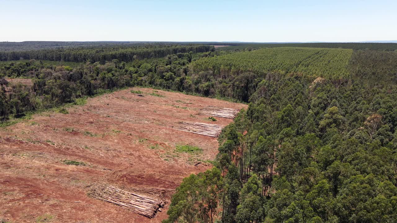 campo despejado en medio de la jungla en américa del sur