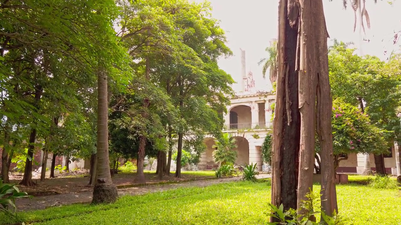 Storico cortile coloniale circondato da alberi maturi, palme, prato curato, vialetti da giardino ed edificio ornato con archi, balconi e colonne in Messico