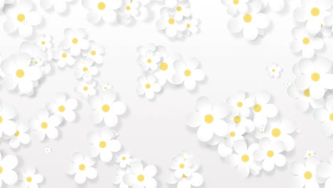 growing floral background, paper flowers appearing, botanical pattern, bridal round bouquet, paper craft, 4k animation