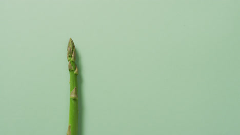 video of fresh asparagus with copy space over green background