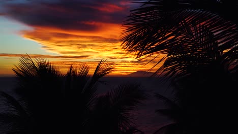 silhouette of waving palm tree leaves in front of red fired sky during sunset