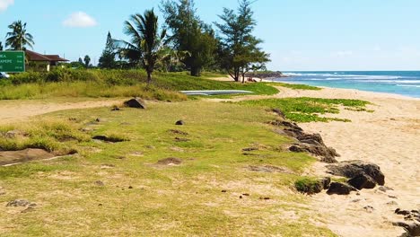 hd hawaii kauai slow motion wide shot pan left to right from waimea, hanapepe and lihue sign past beach with two people in beach chairs looking at ocean to an empty beach on sunny day