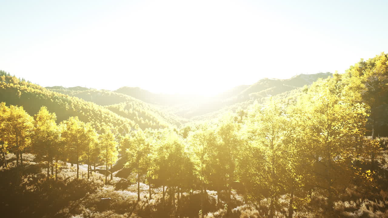 ⁇ 은 오렌지색과 황금색 잎사귀와 함께 가을 시즌에 다채로운 산맥