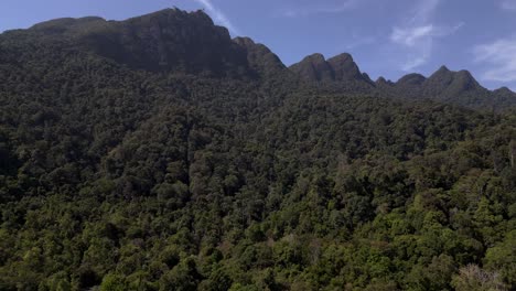 Gesundes-Ökosystem,-Grünes-Dschungeldach-Bedeckt-Die-Hänge-Der-Dramatischen-Berggipfel-In-Langkawi,-Malaysia