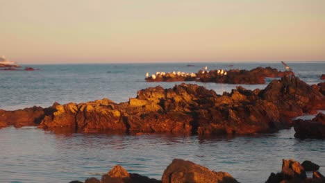 rocky beach with defocused background