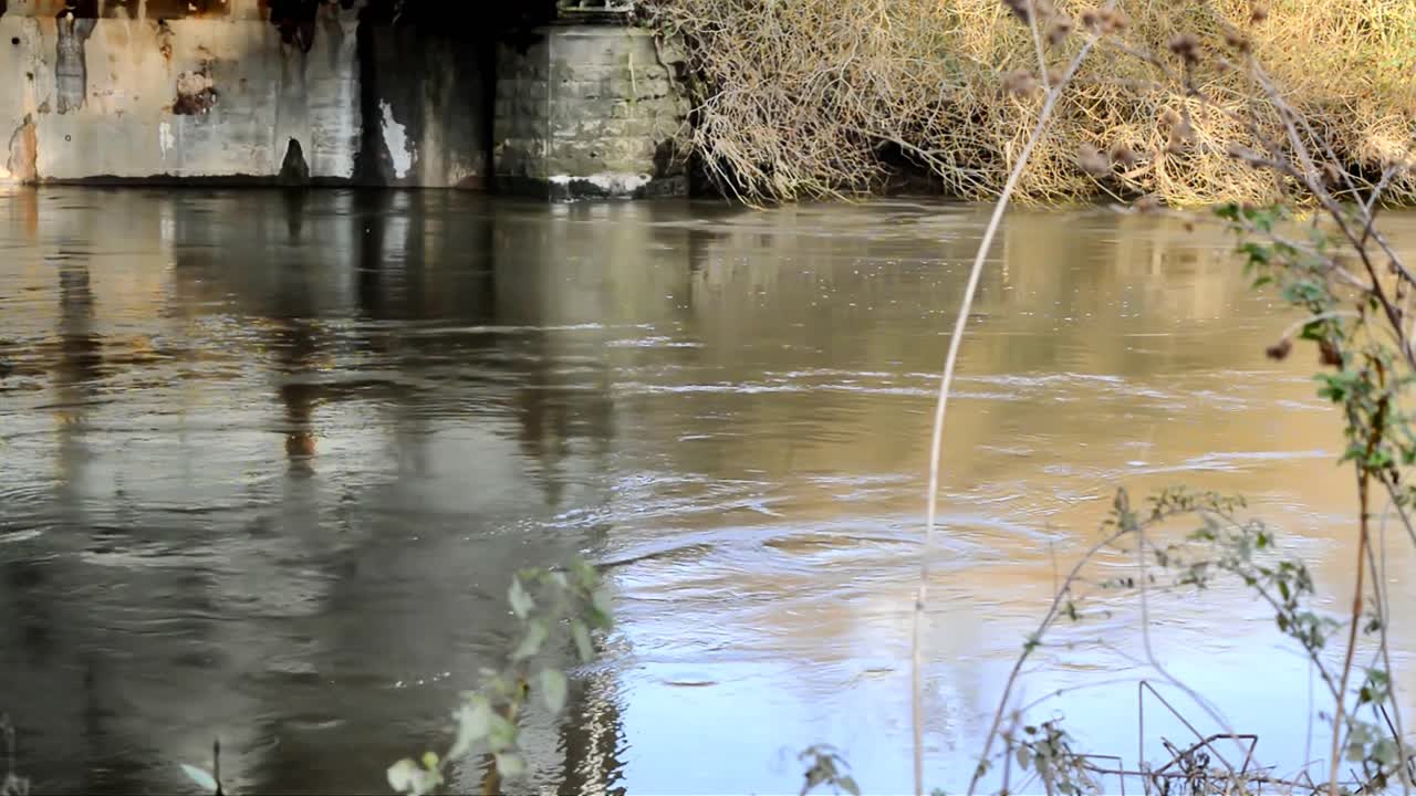 Il fiume Don, che la scorsa settimana ha rotto gli argini a Fishlake nel South Yorkshire, mostra qui quanto sia ancora alto.