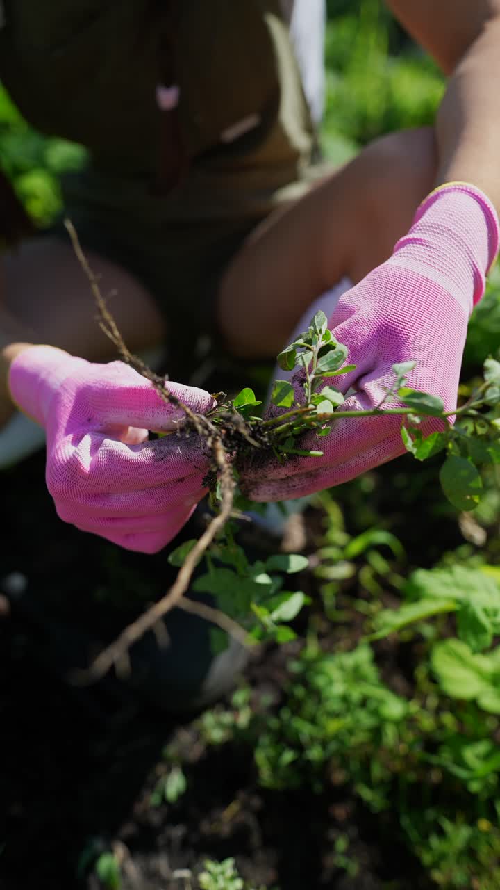 persona que está desherbando un jardín