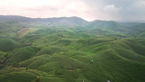 vista épica de tierras agrícolas con campos de plantación de maíz en crecimiento con fondo montañoso en la isla de sumbawa, indonesia