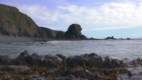 ireland epic locations celp floating in gentle waters in lagoon copper coast waterford on a spring morning