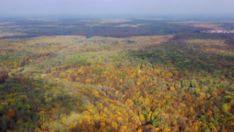 Panoramic view of autumn scenery. Beautiful woods in fall season. Colorful trees of forests. Nature background in the morning. Aerial view.