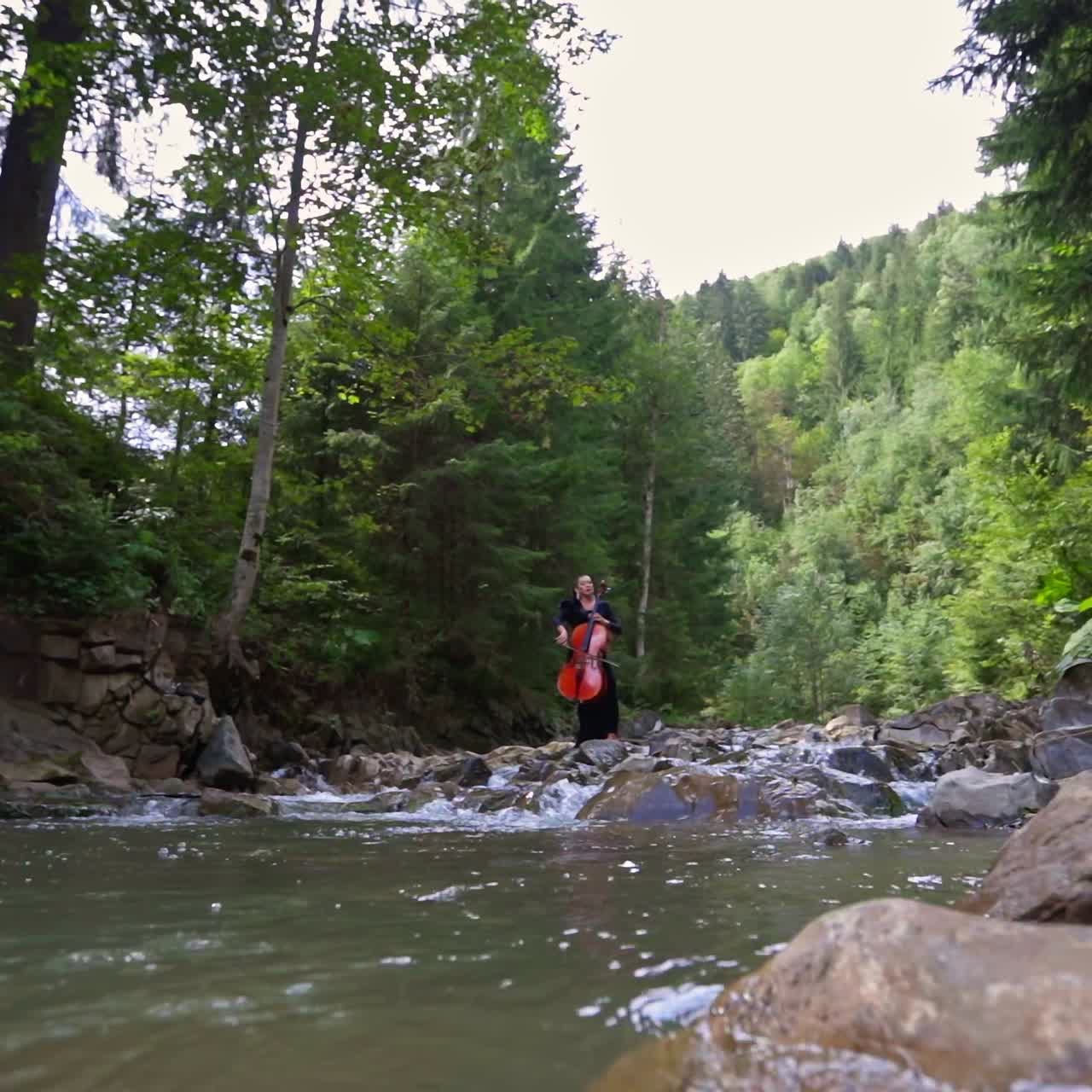 Woman violoncellist playing the cello