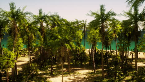 tropical beach with palm trees