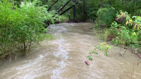 Secuelas-De-La-Tormenta-Tropical-Imelda