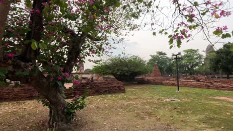 a serene walk through historical temple grounds