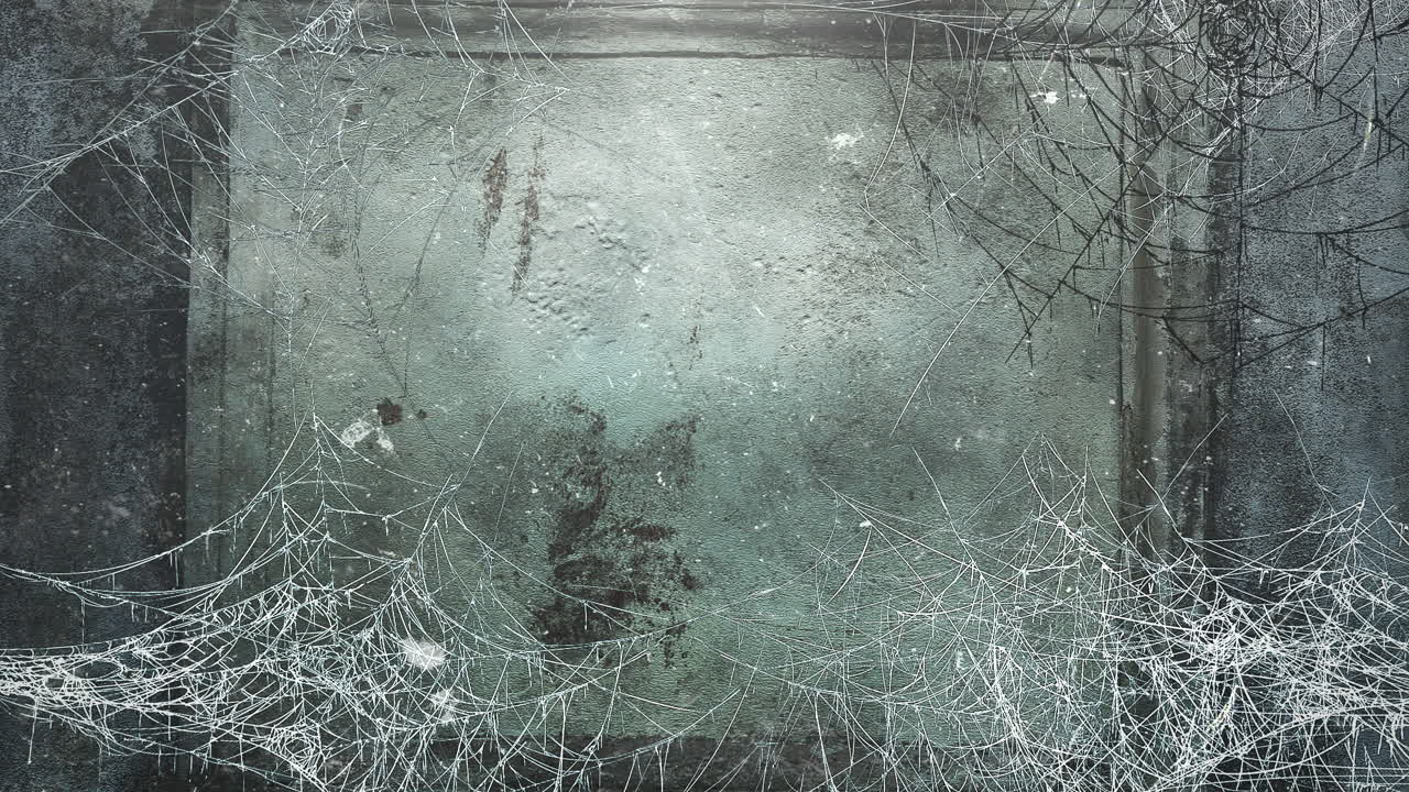 Mystical horror background with dark spiderweb and motion camera abstract backdrop