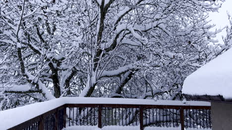 Schnee-Auf-Einem-Deckbalkon