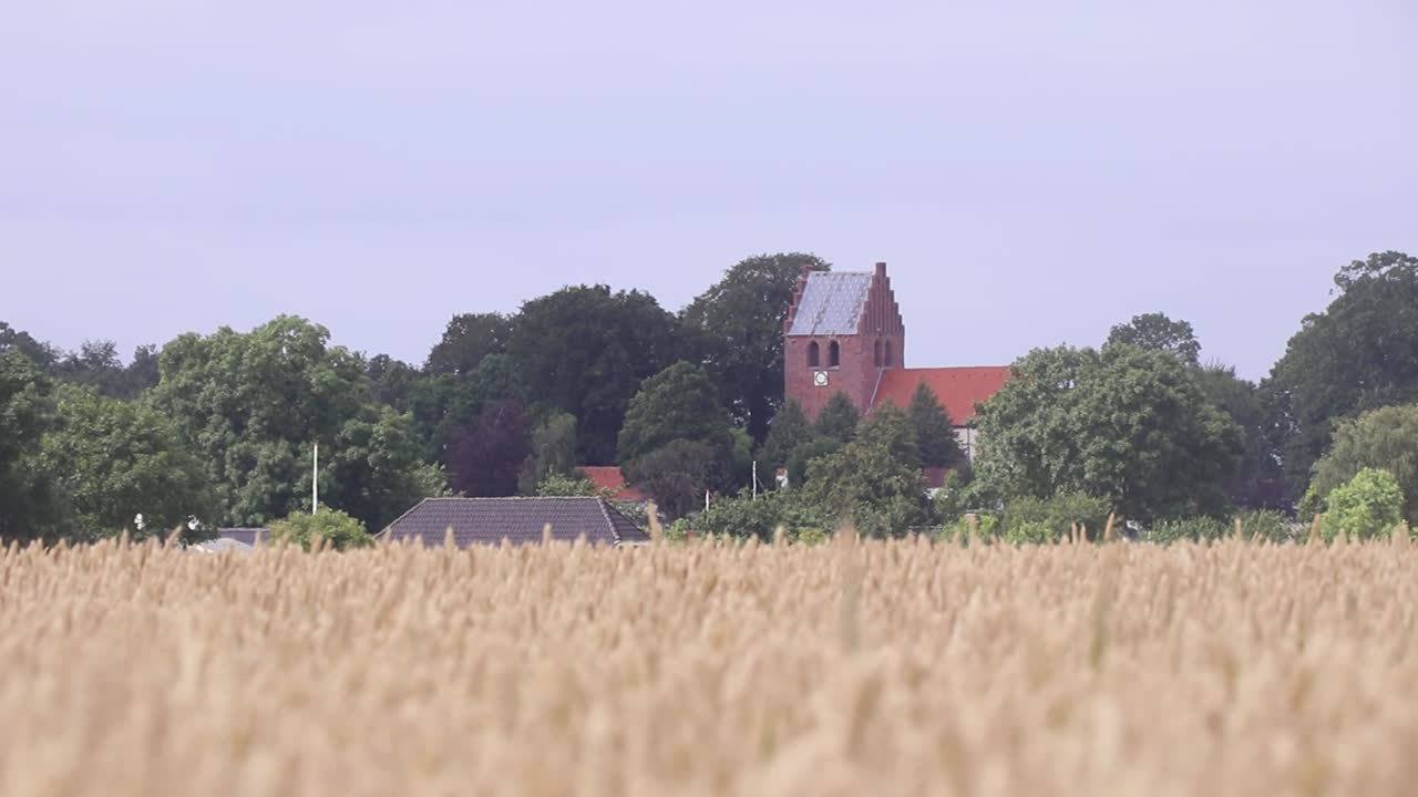Corn field infront of church.