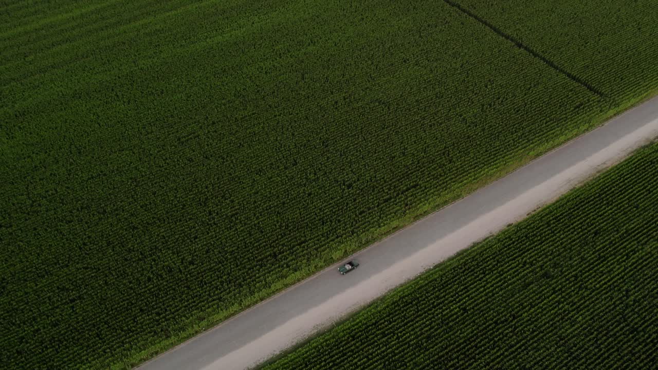 Aerial - classic car driving on narrow rural road surrounded by green fields