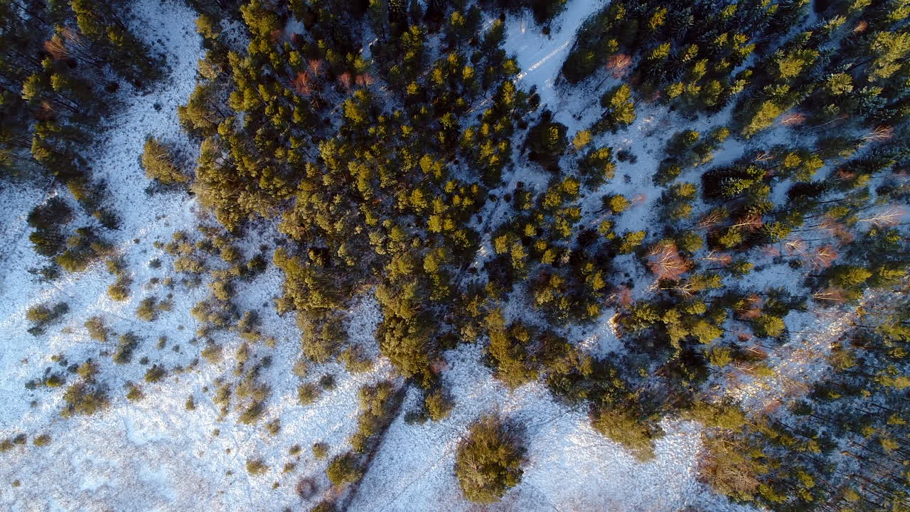 tiro de drone de paisaje de bosques nevados