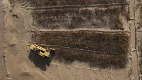 fotografía cenital de una cosechadora de arroz industrial en punjab