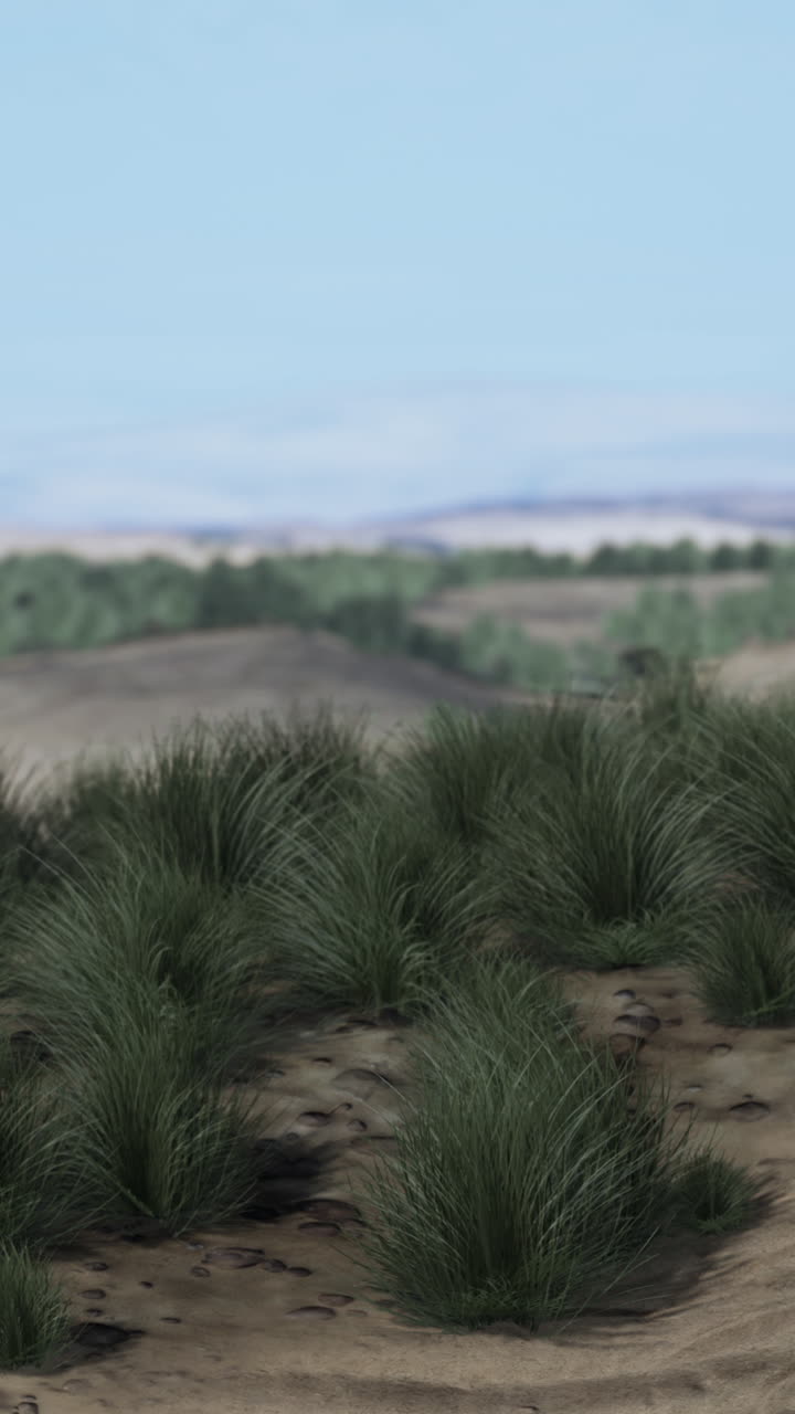 Campo de hierba verde