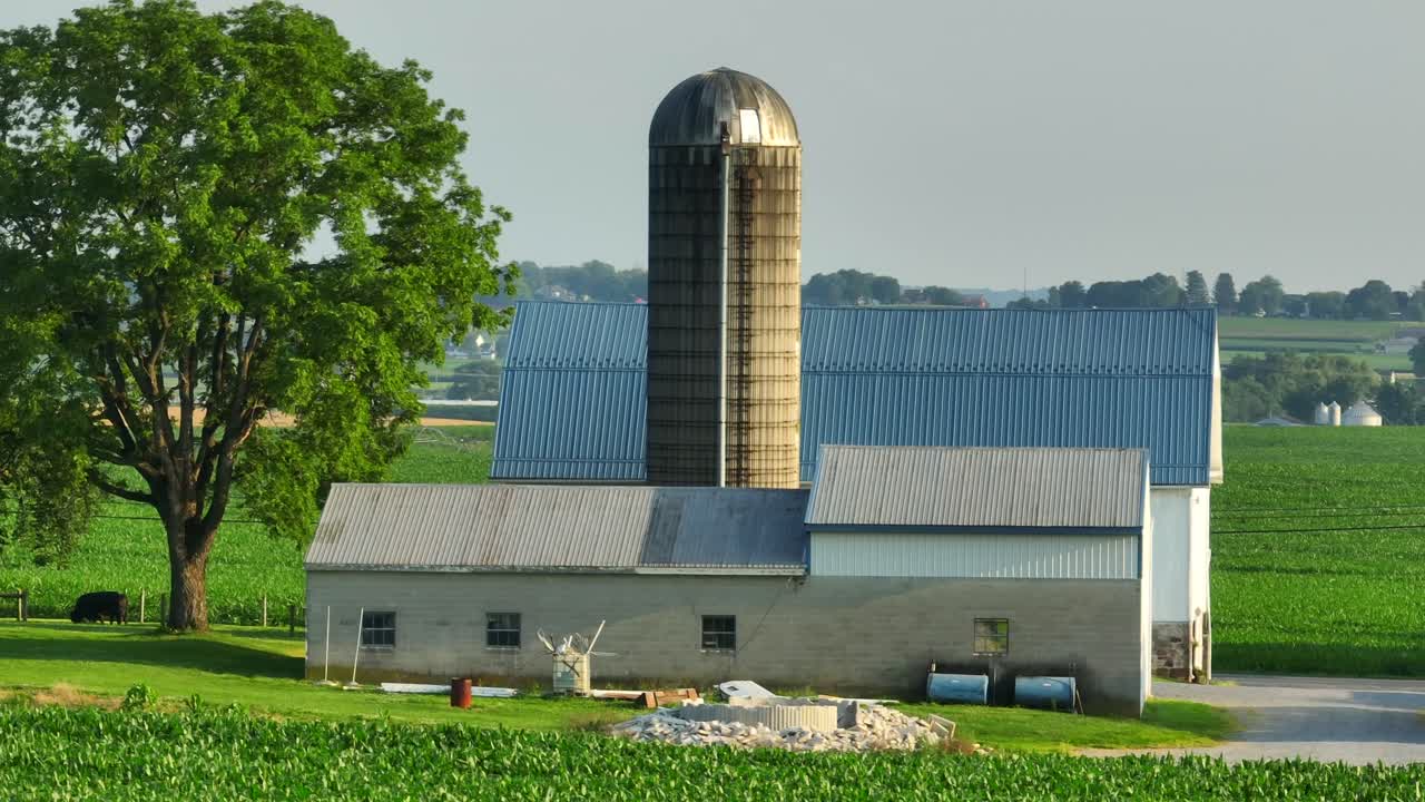 escena pacífica de la granja rural