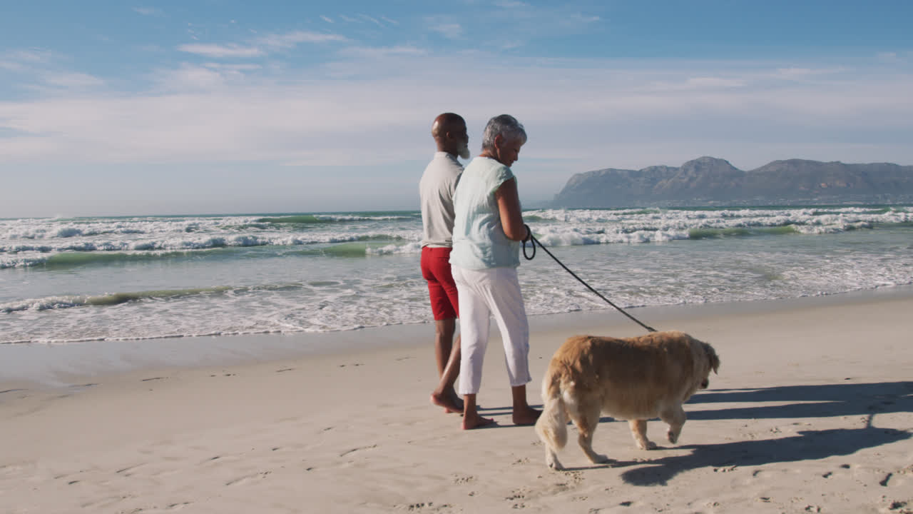 una pareja de ancianos afroamericanos caminando con un perro y tomados de la mano en la playa