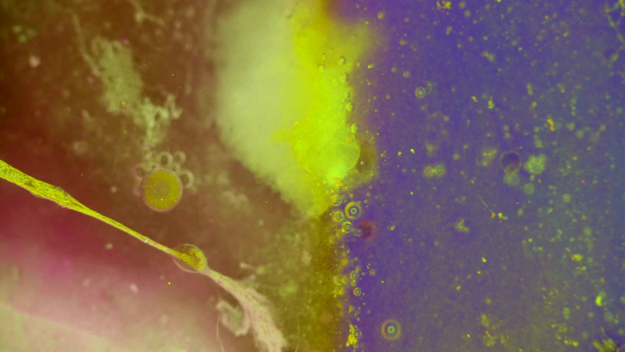 el rizado de las pinturas