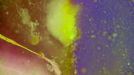 curlicue of paints
