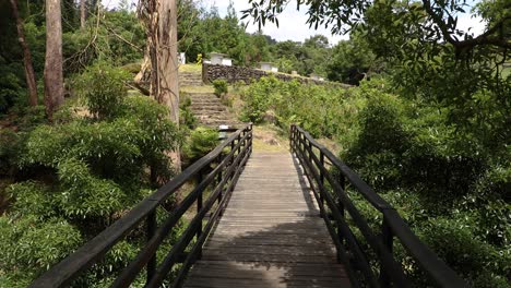 empty wooden bridge on trails at parque das frechas in agualva, terceira, azores, portugal