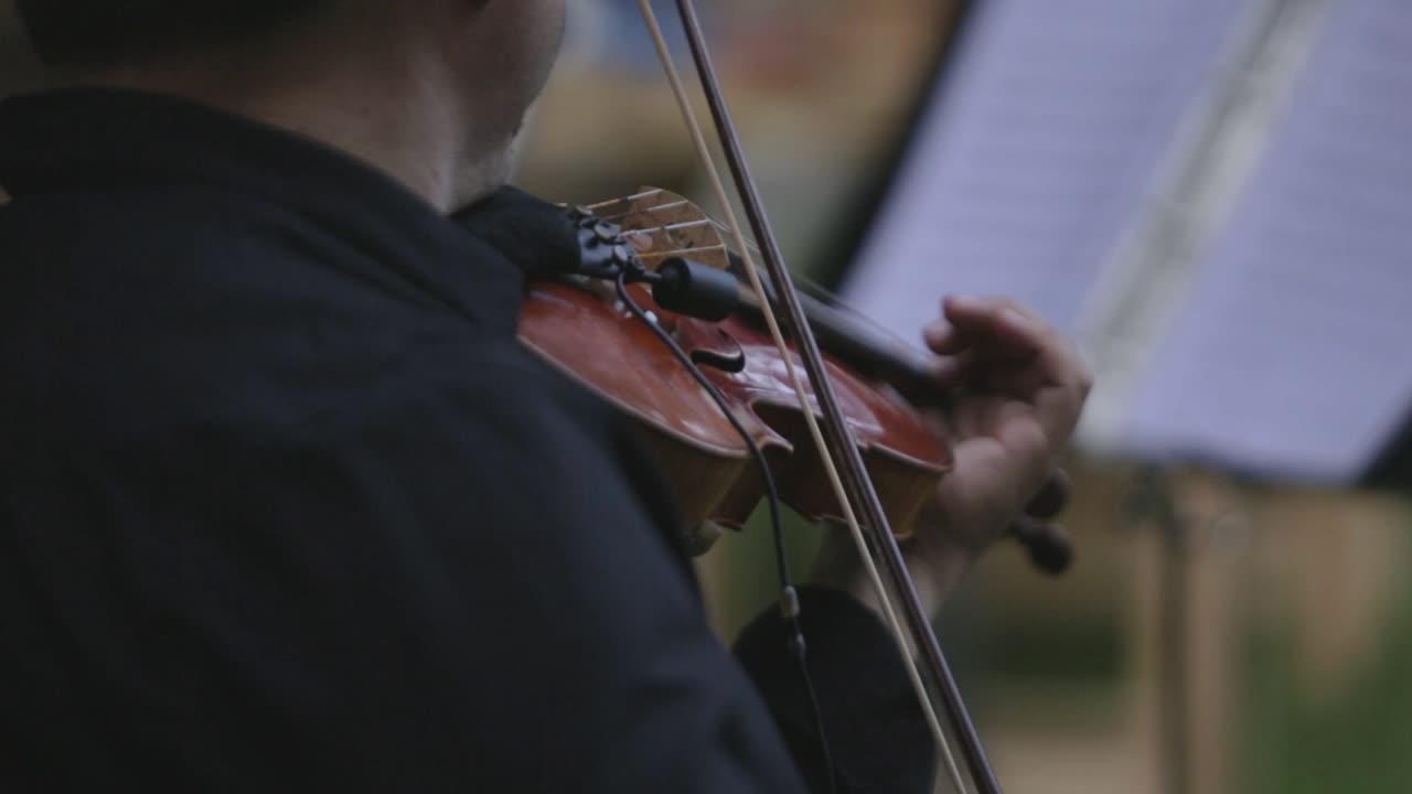 músico anónimo tocando el violín