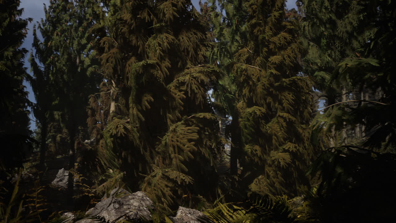 el cono del bosque en un día de niebla