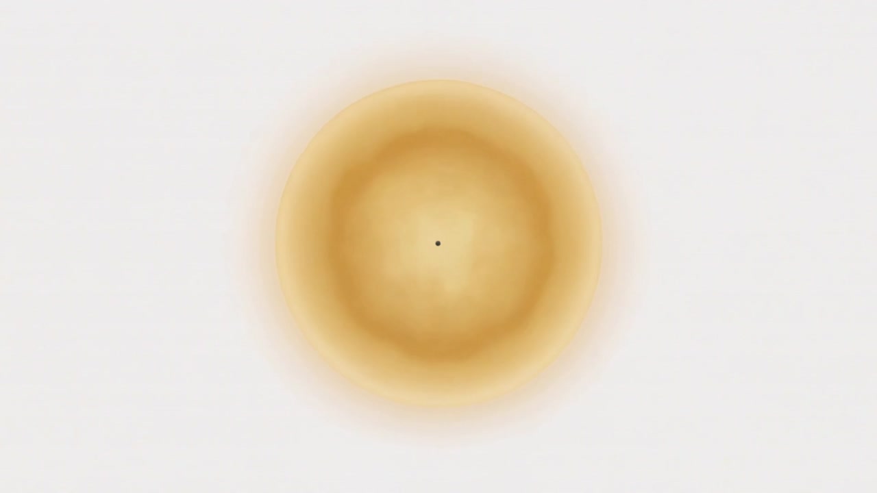 Punto nero che si espande, disco color cuoio che cresce, alone che si intensifica su sfondo bianco per il branding.