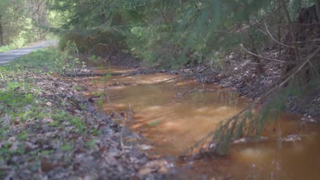 Rainwater-contaminated-by-soil,-countryside-scene,-pathway-and-vegetation