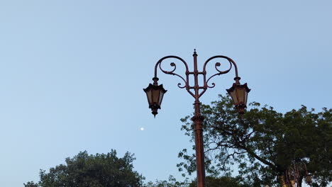 Admire-one-of-the-beautiful-ornate-lampposts-encircling-Lake-Sursagar-in-India-as-dusk-sets-in