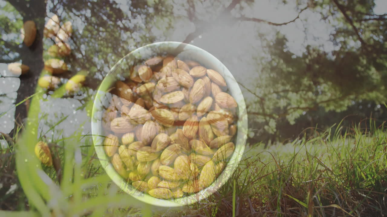 Bowl of almonds and pistachios on grass with trees in background